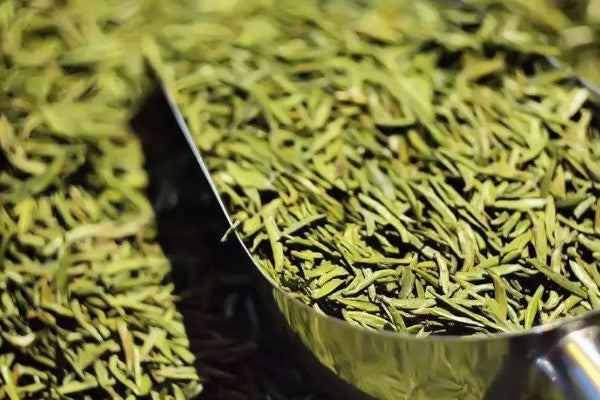 How to store green tea best? 5 Ways to Store Green Tea