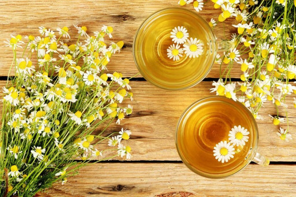 Benefits Of Chamomile Tea